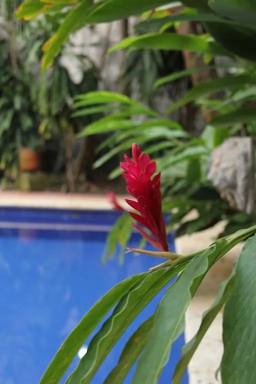 Hotel Casa Del Tejadillo Cartagena